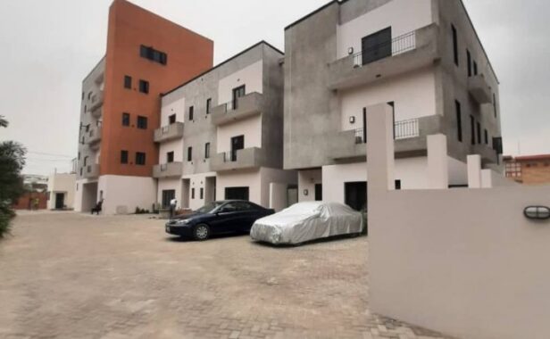 WhatsApp-Image-2021-02-25-at-18.03.55-11-730×450